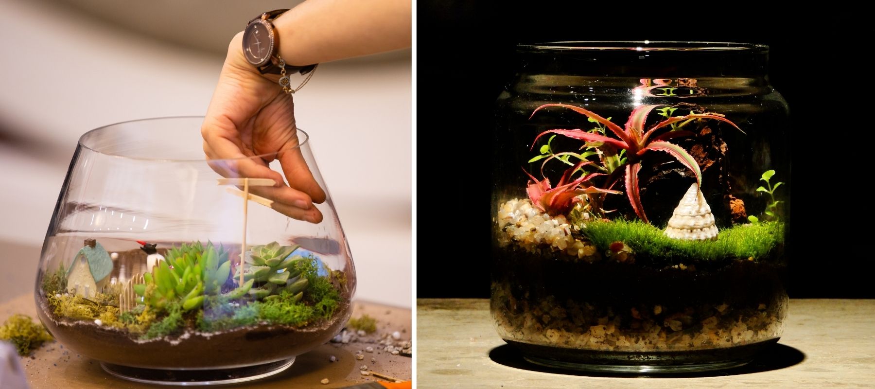 Terrariendekor