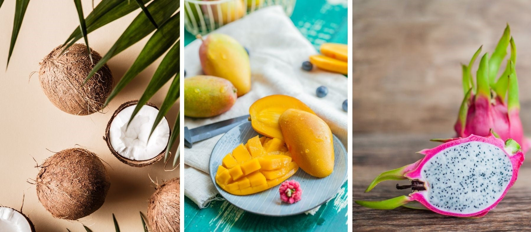 Kokosnuss, Mango, Drachenfrucht