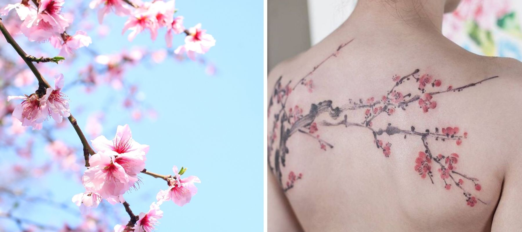 Kirschblüten Tattoo