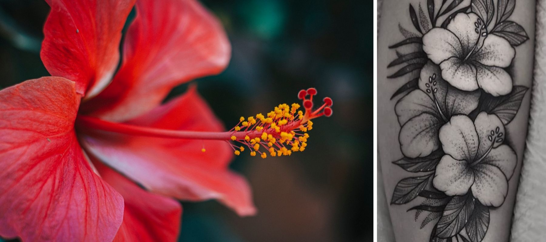 Polynesische Tätowierung einer Tiare-Blume und eines Hibiskus