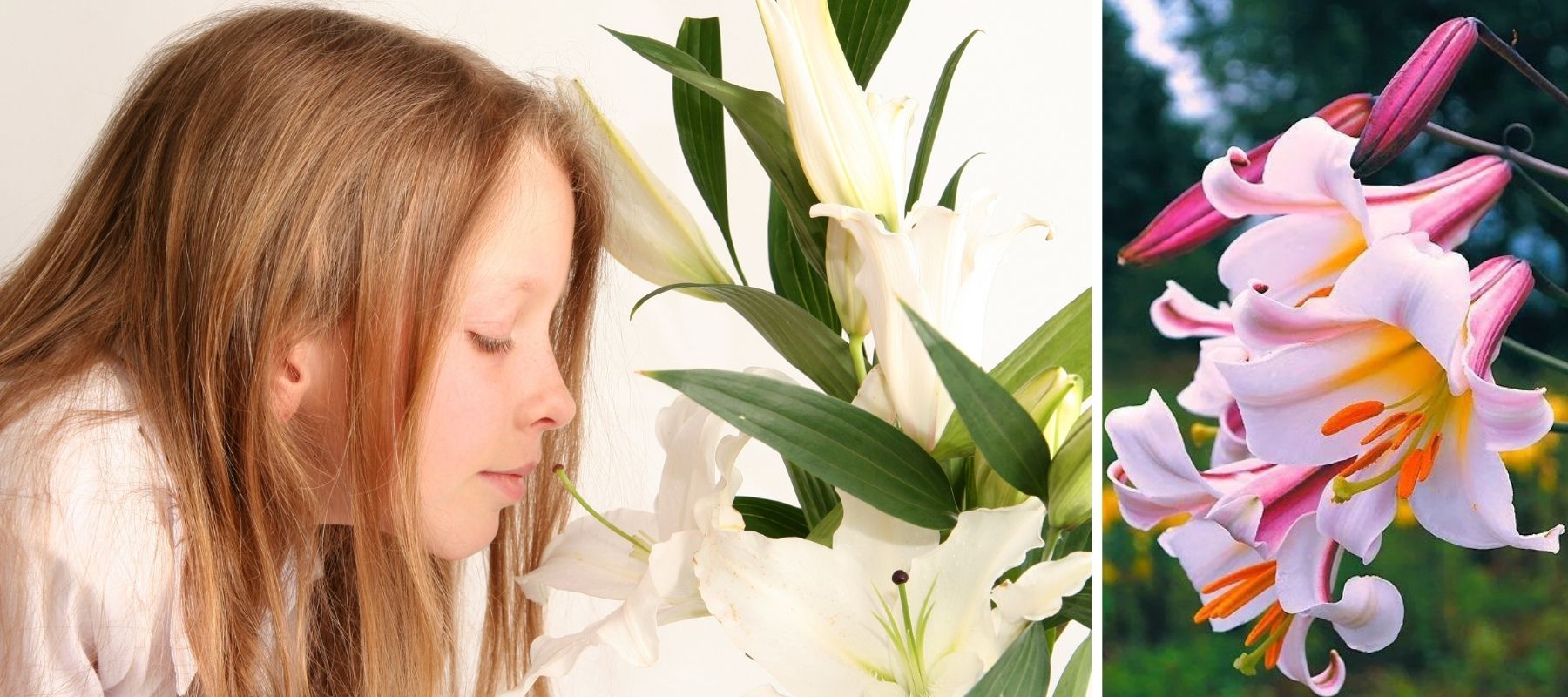 Kind mit rosa Lilie