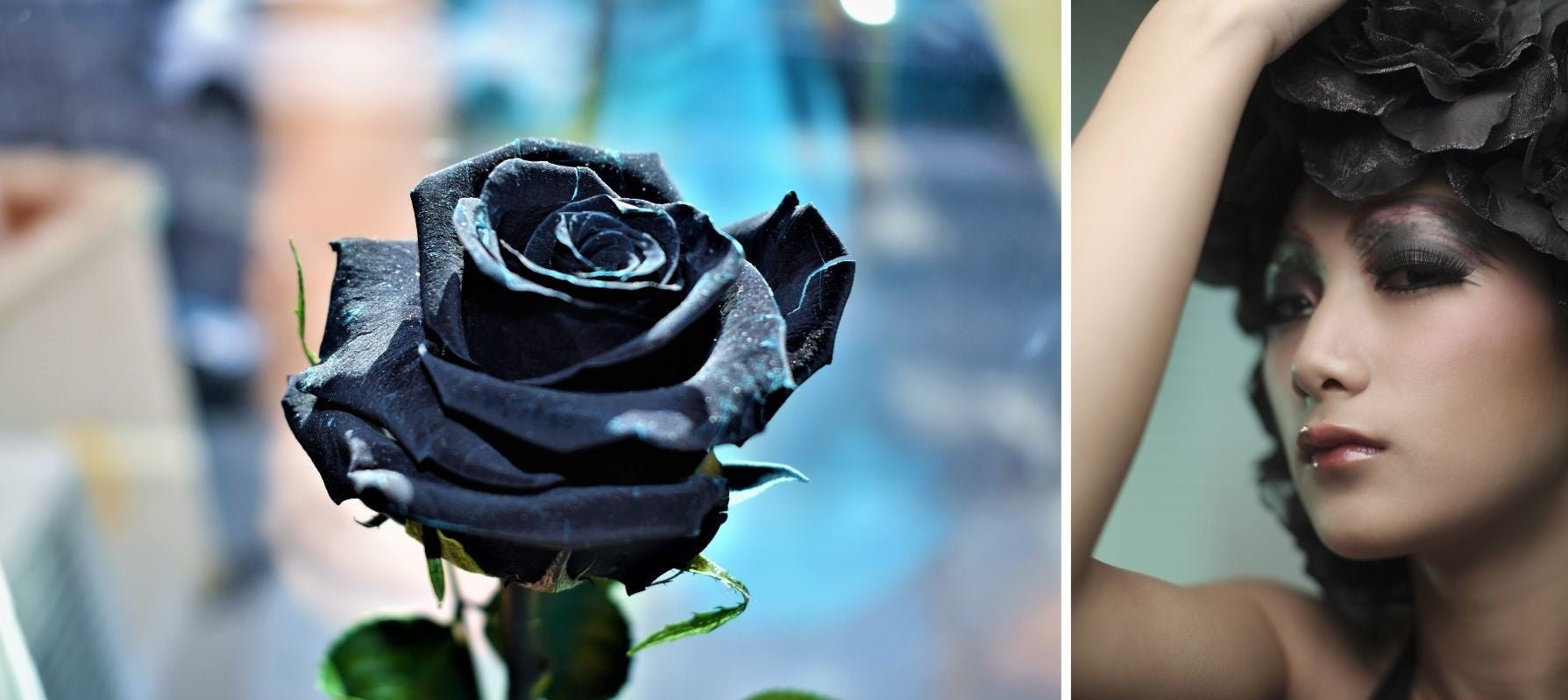 black rose woman hairstyle