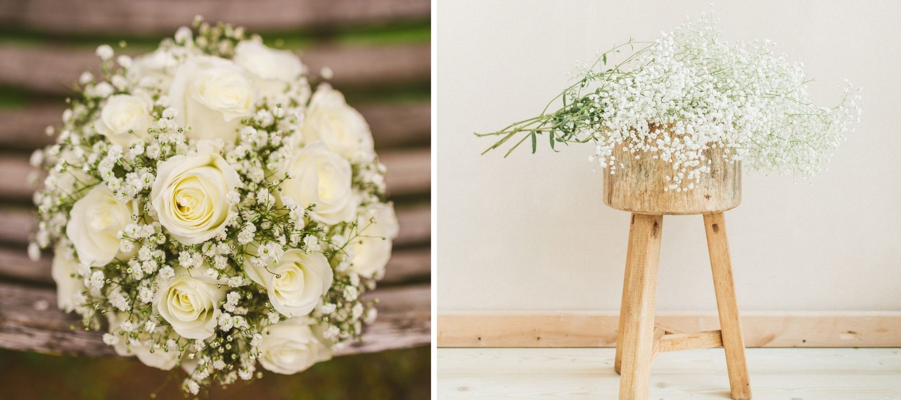 petite fleur blanche mariage