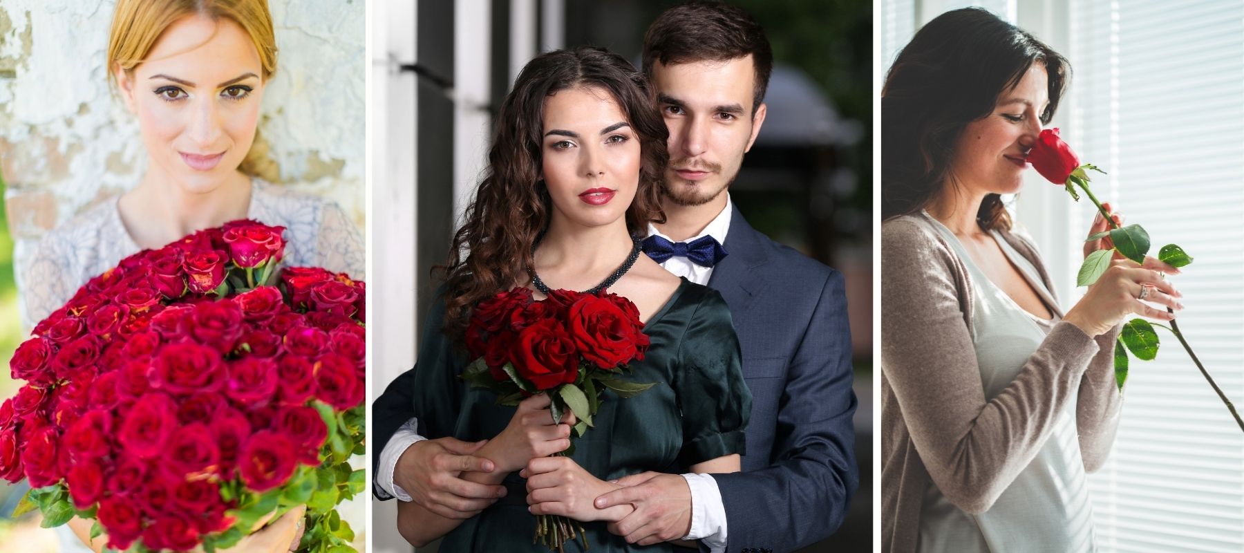 red roses love woman couple