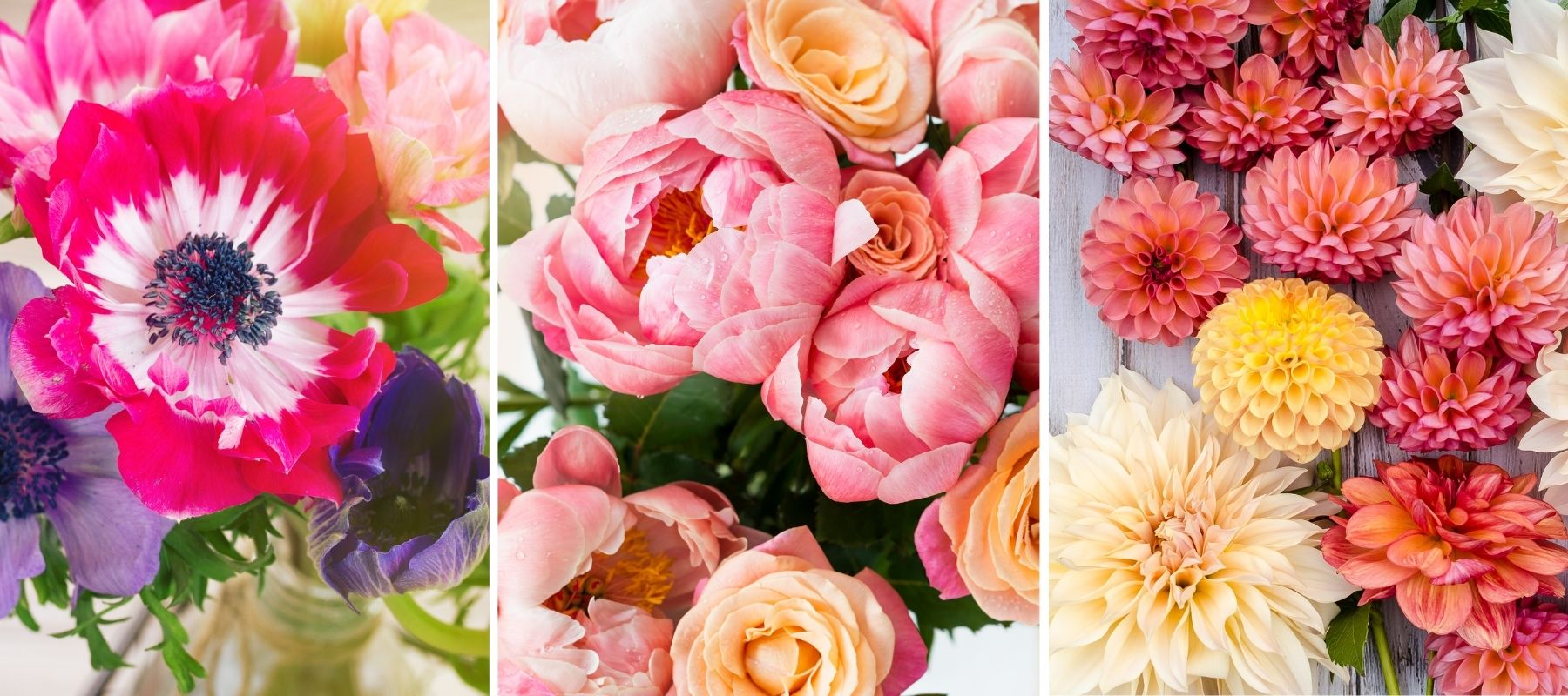 bouquet de mariage fleurs