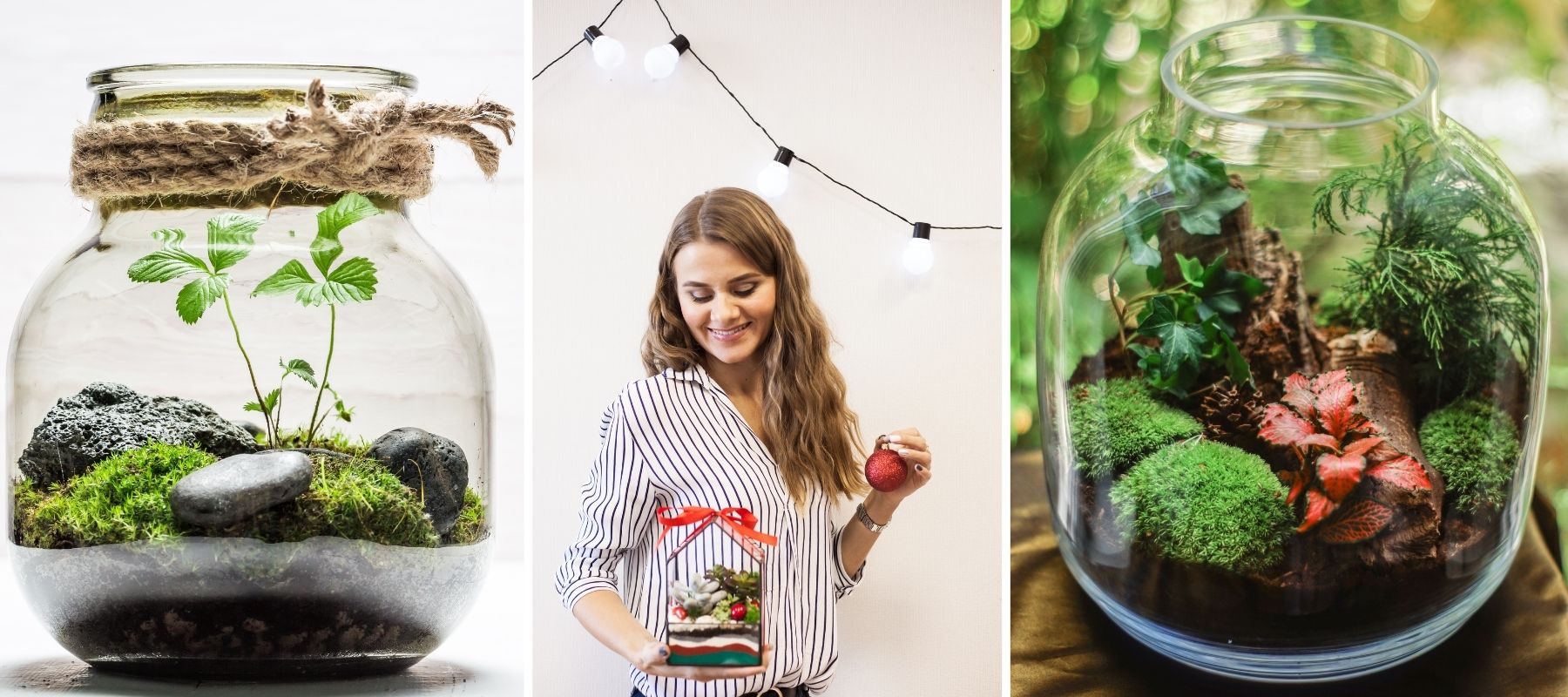 Terrarium mit grünem Moos