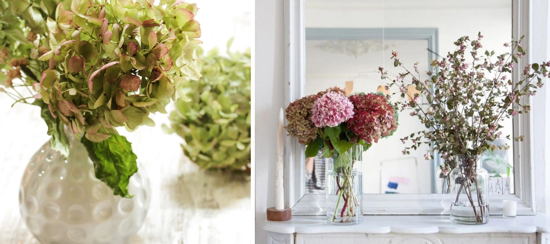 bouquet d'hortensias séchés