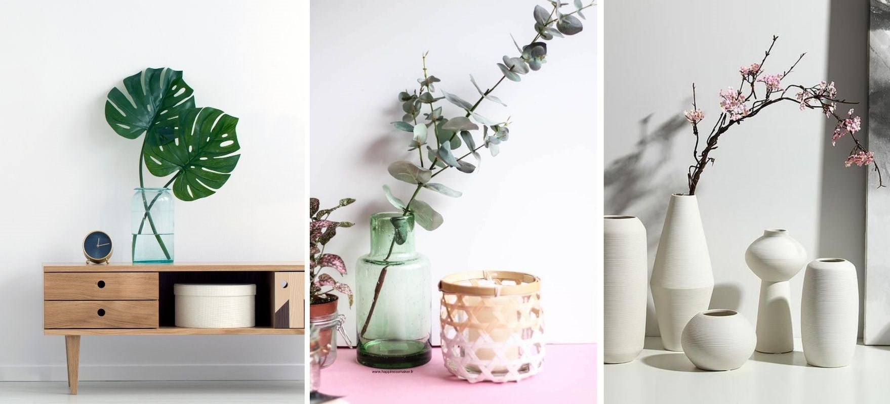 feuille de monstera branche d'eucalyptus avec fleurs