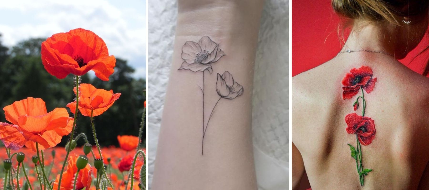 Mohn Tattoo