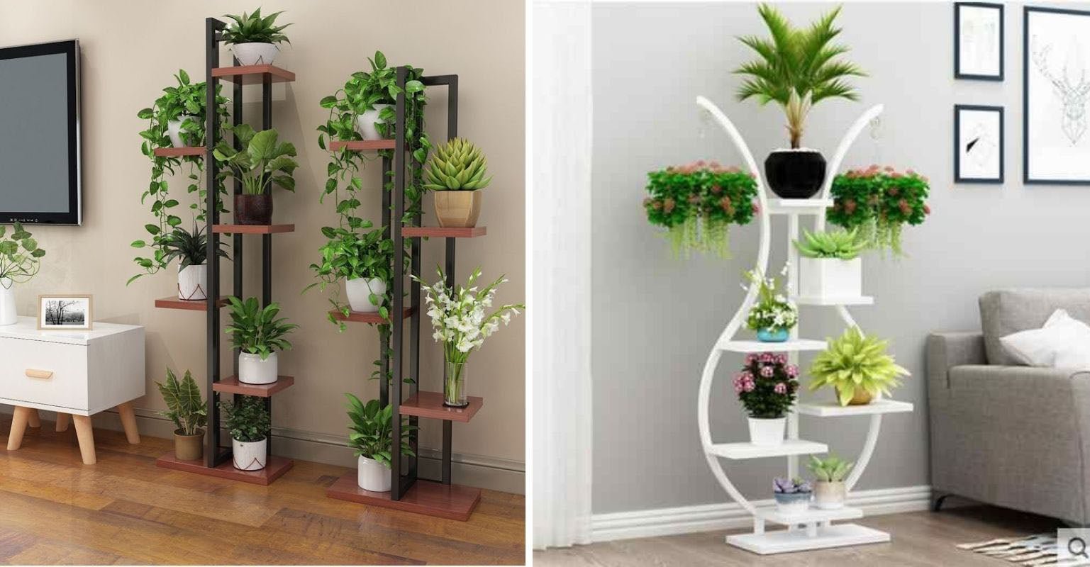 Fleurs d'intérieur en hiver
