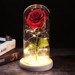 Eternal Rose
