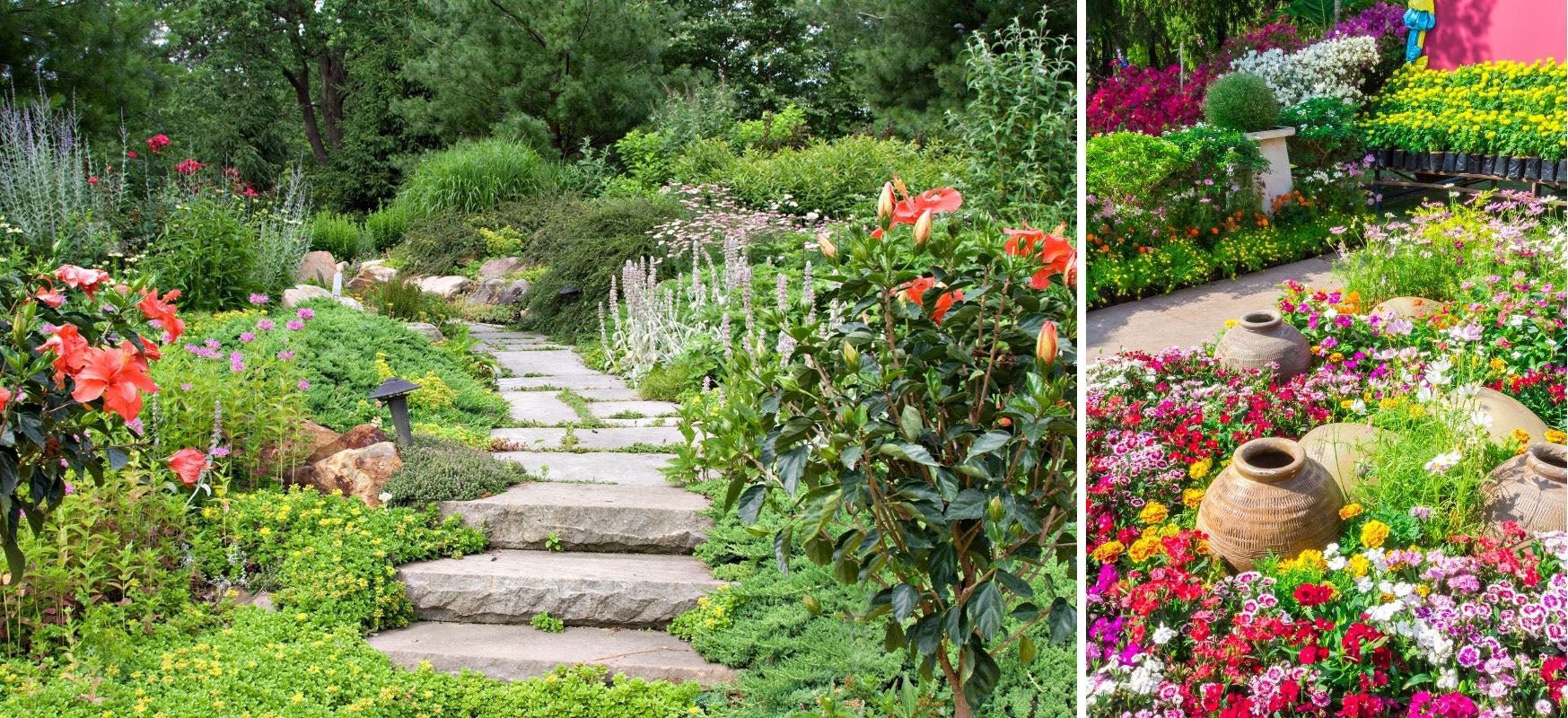 Jardin de fleurs d'hiver