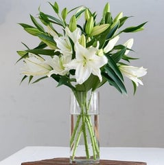 Lys pour hommes