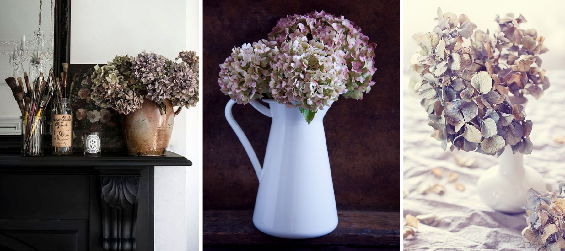 bouquet d'hortensias séchés