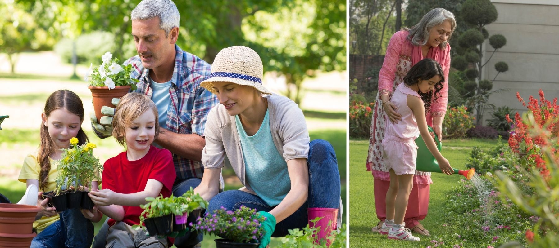 family garden flowers grandpa grandma