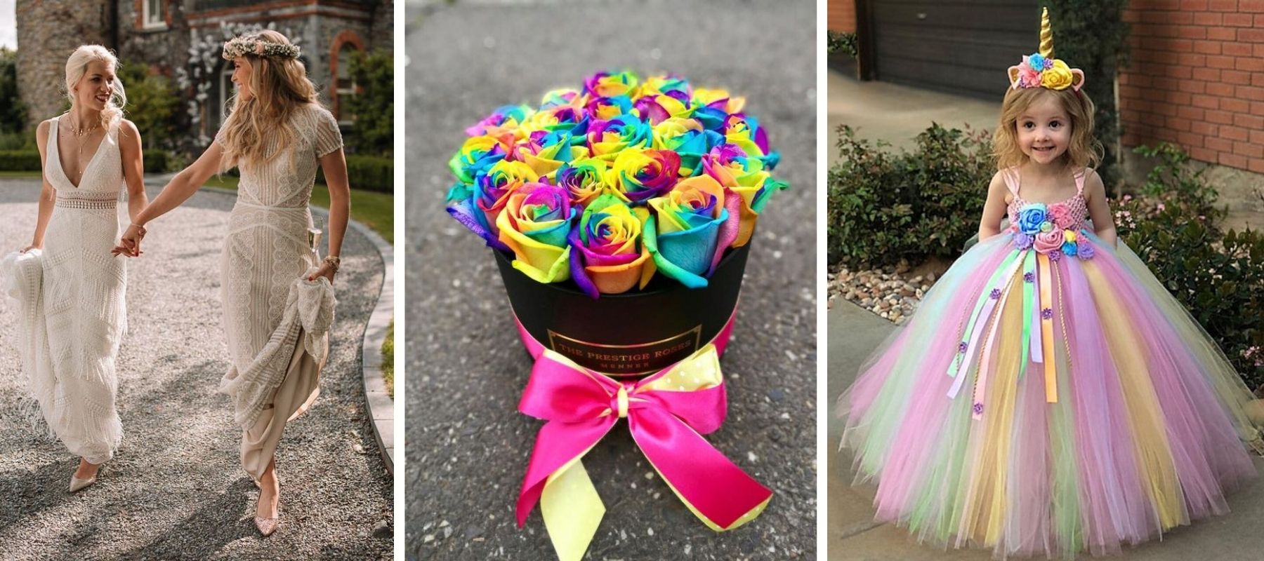 giving a multicolored rose