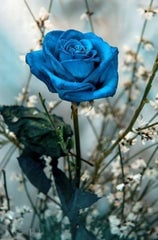 rose bleue pour hommes