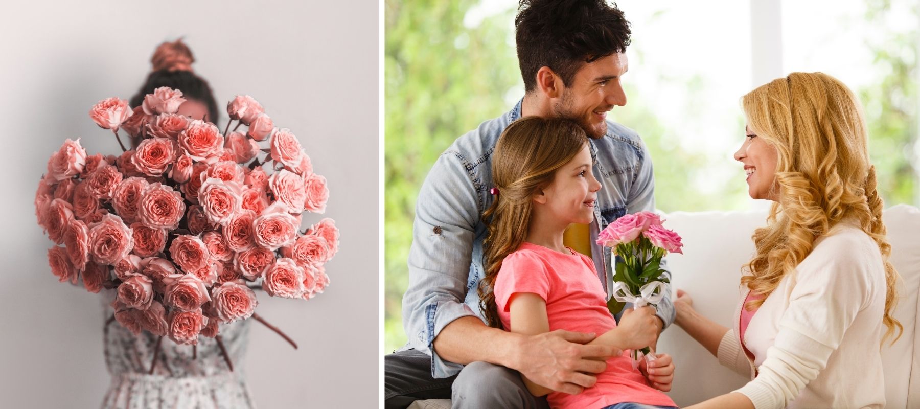gift rose family