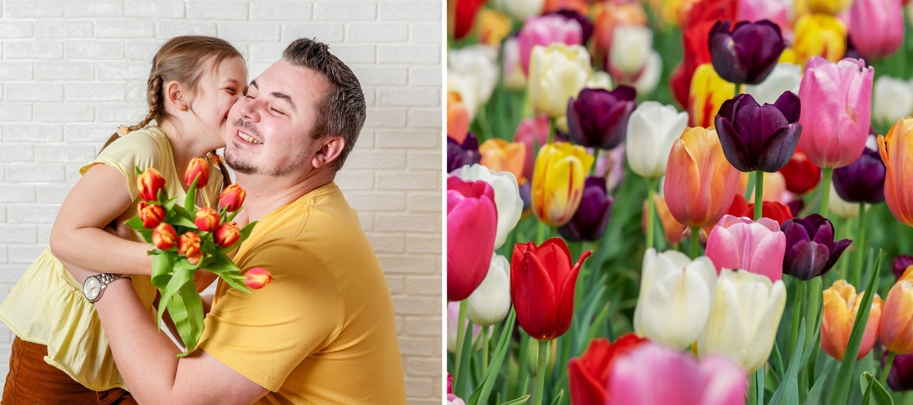 tulip flower gift for Dad Grandma